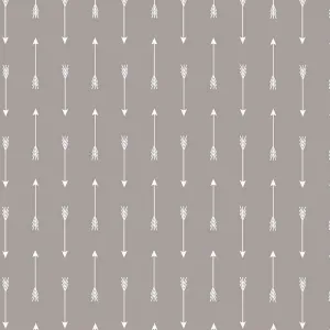 Arrows on Gray by Simple Simon & Company for Riley Blake Designs