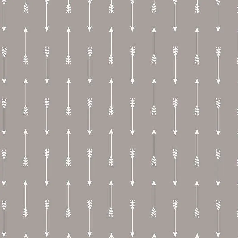 Arrows on Gray by Simple Simon & Company for Riley Blake Designs