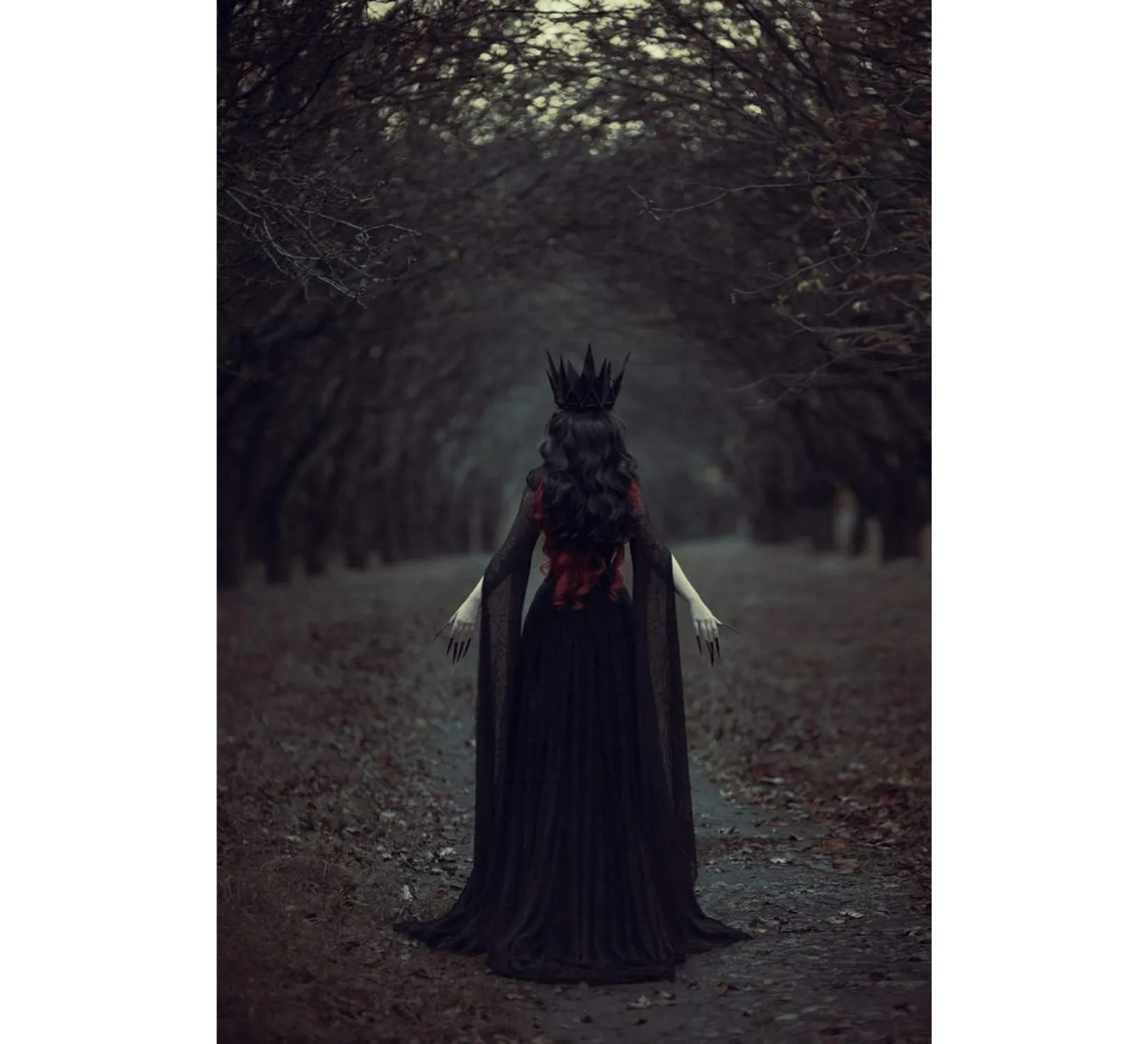 Fantasy gothic tulle and velvet black dress with corset