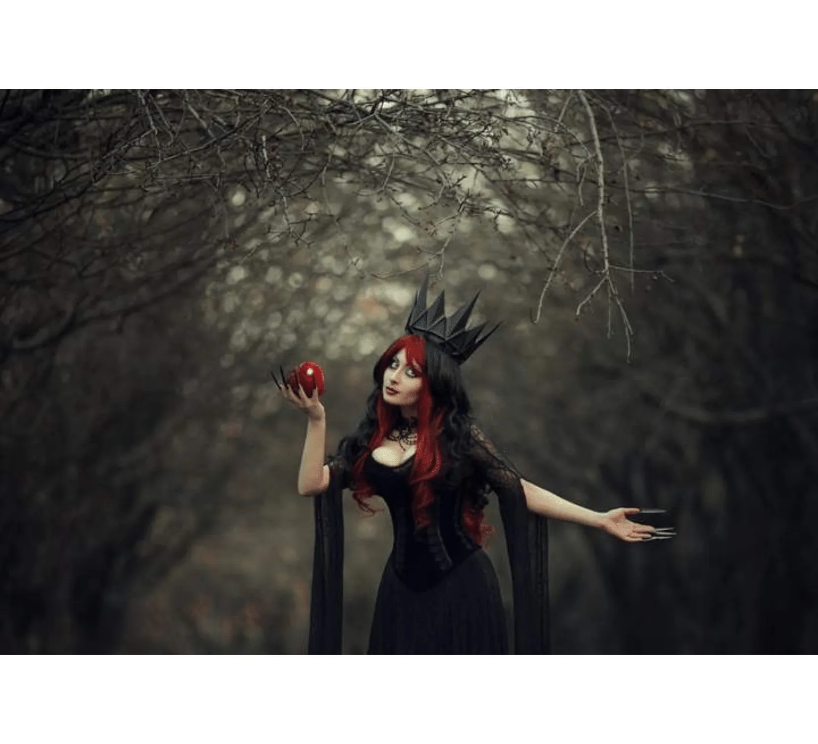 Fantasy gothic tulle and velvet black dress with corset