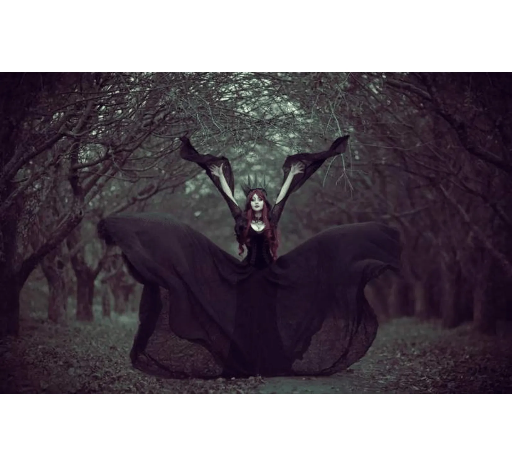 Fantasy gothic tulle and velvet black dress with corset