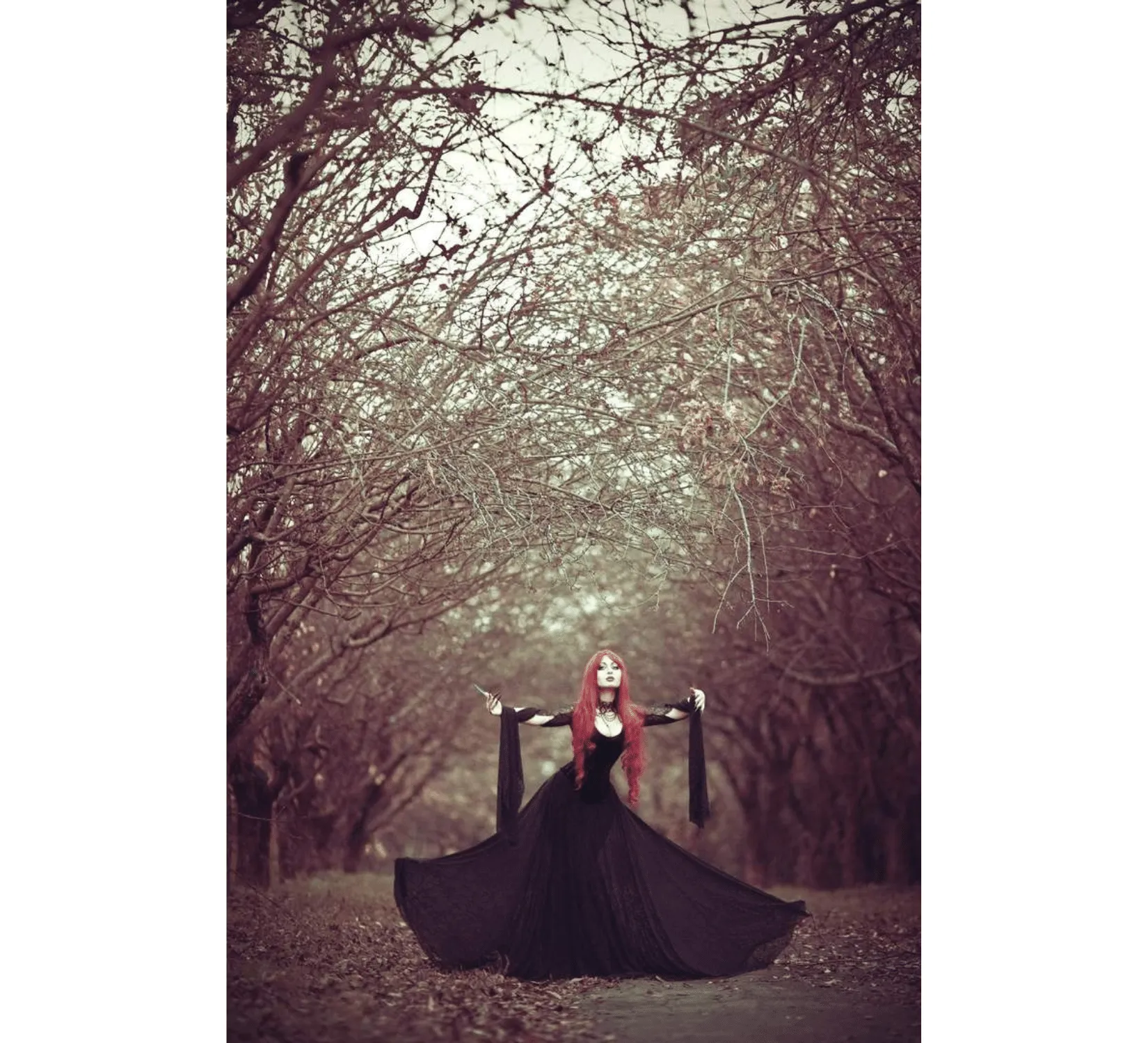 Fantasy gothic tulle and velvet black dress with corset
