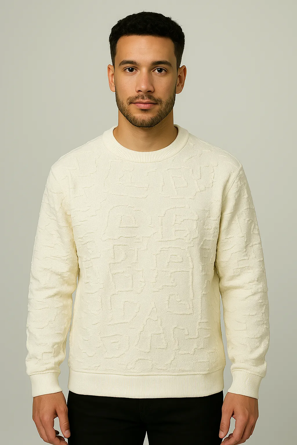 Men's  Plus Size Textured Round Neck Long Sleeve Sweatshirt