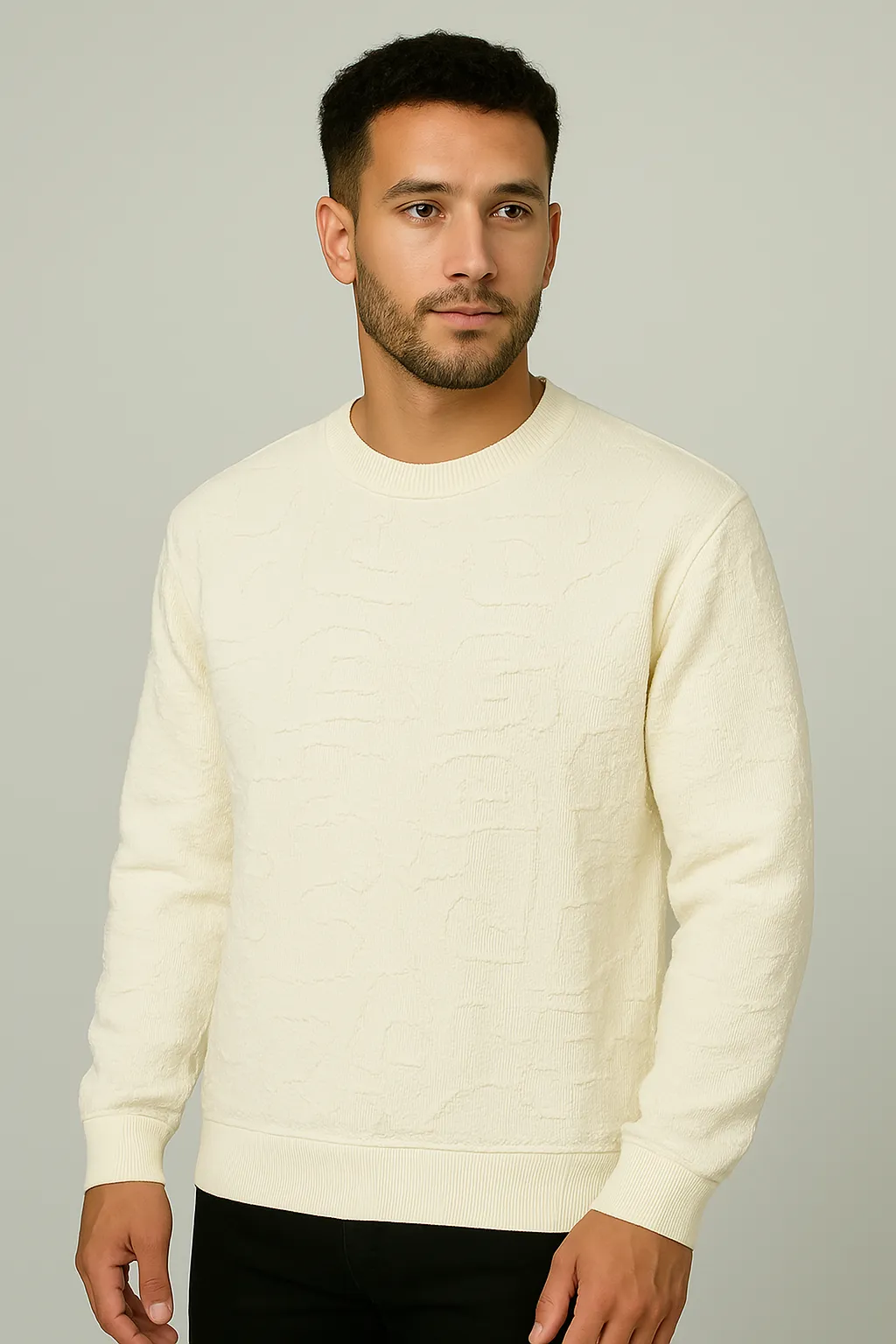 Men's  Plus Size Textured Round Neck Long Sleeve Sweatshirt